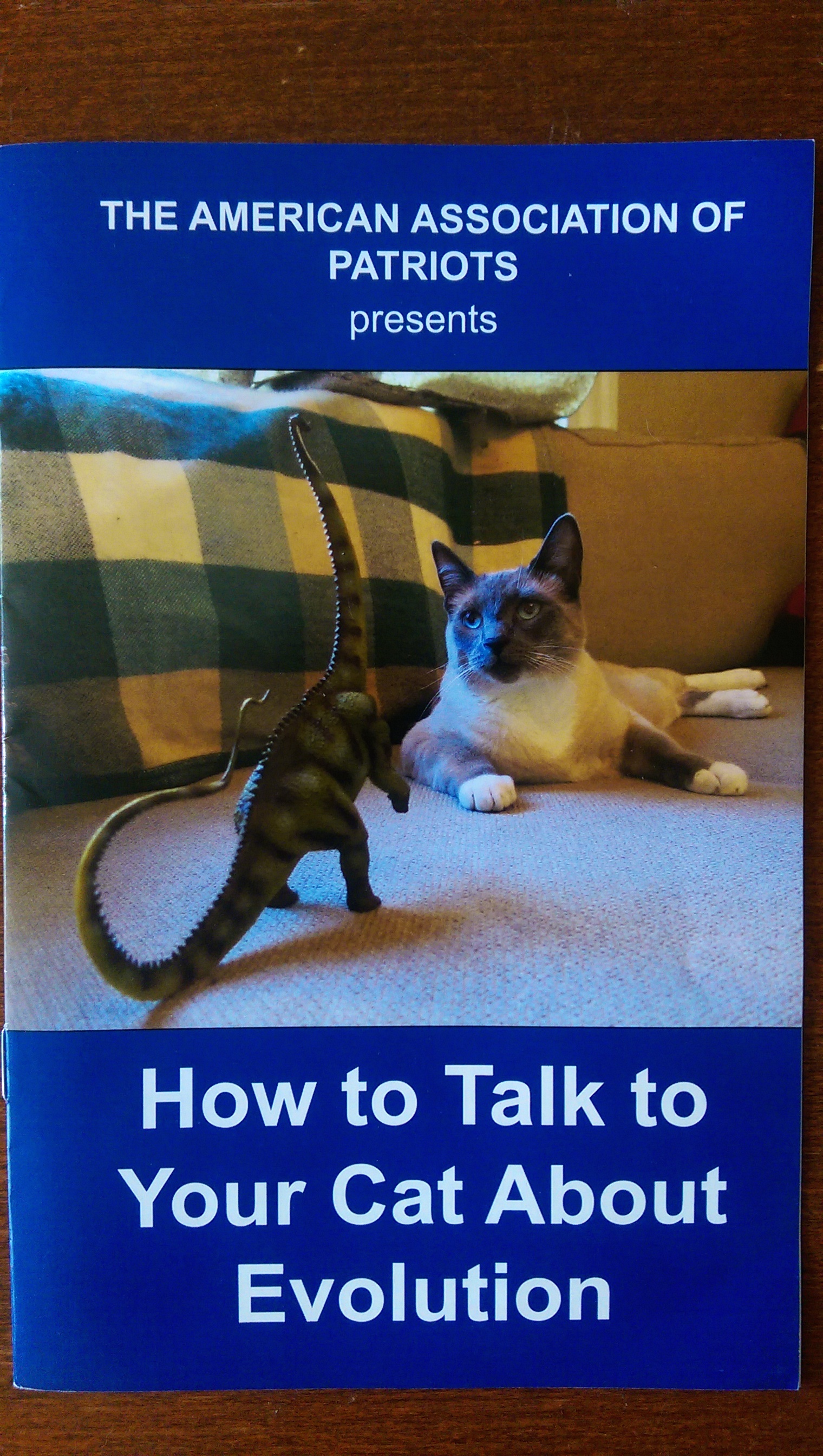 How to Talk to Your Cats About Gun Safety and Evolution - Brain Washing  From Phone Towers